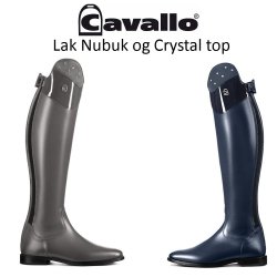 Cavallo CAVALLinus Dressage