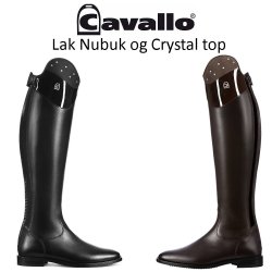 Cavallo CAVALLinus Dressage