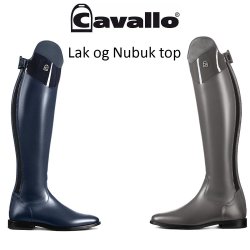 Cavallo CAVALLinus Dressage