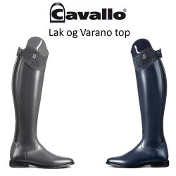 Cavallo CAVALLinus Dressage