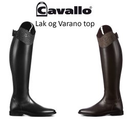 Cavallo CAVALLinus Dressage