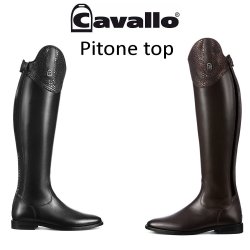 Cavallo CAVALLinus Dressage