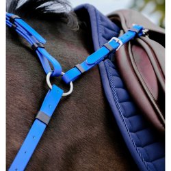 Norton Endurance Fortj  Pop