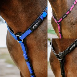 Norton Endurance Fortj  Pop