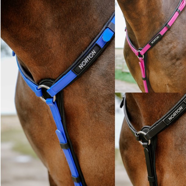 Norton Endurance Fortj  Pop