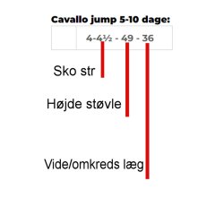 Cavallo CAVALLinus Slim 5-10 dage