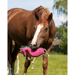 Heste legetj Unicorn