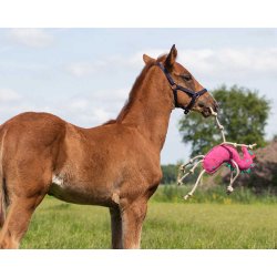 Heste legetj Unicorn