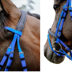 Norton endurance  trense - Pop