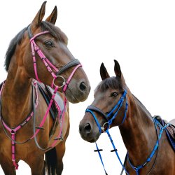 Norton endurance  trense - Pop