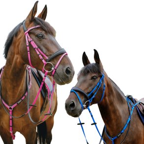 Norton endurance  trense - Pop