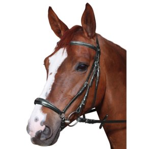 Hubertus hannoveransk 