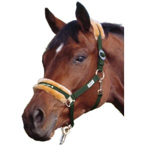   Eskadron grime med lam