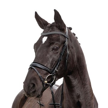 HG Avan trense Pony