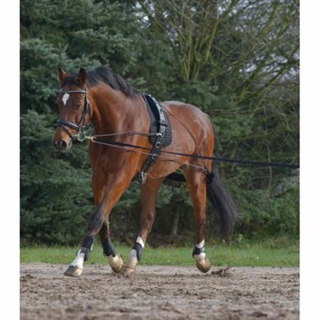 Pessoa Longe system Cob-Full
